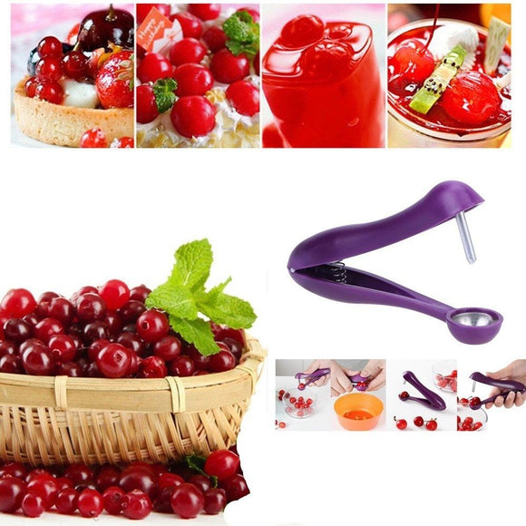 Handheld Cherry Pitter Olive Pitter Plastic Fruit Core Seed Corer Remover